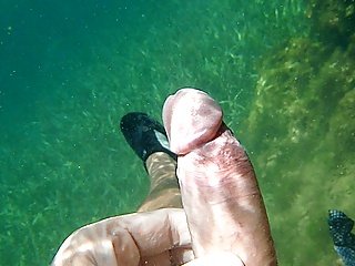 underwater03