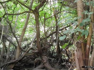 Pissen in der Natur 10129