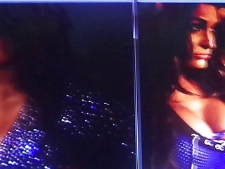 WWE 레일라 & 니키 벨라 에 질내 사정