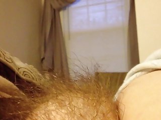 wifes שיער ערוות כוס שעיר גבוה